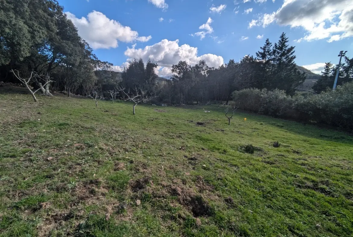 Terrain constructible de 1188 m² à Foce avec vue montagne en Corse 