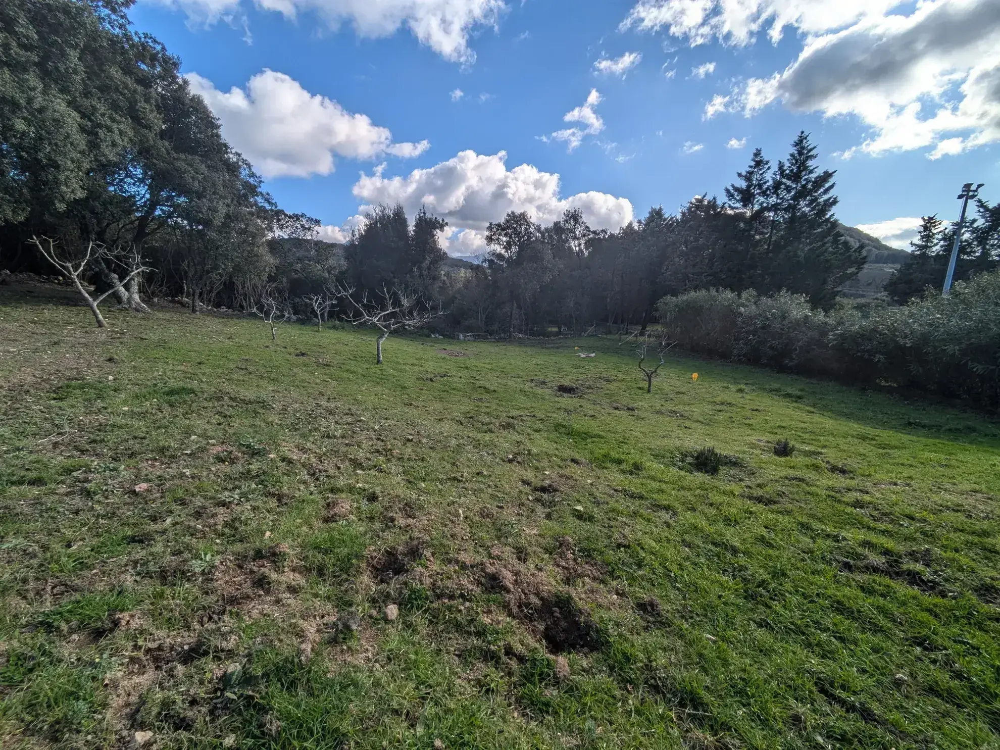 Terrain constructible de 1188 m² à Foce avec vue montagne en Corse 