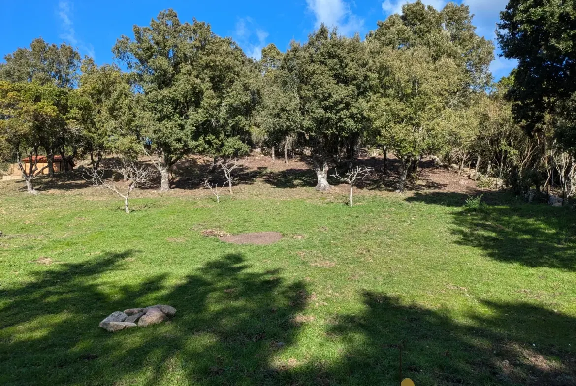 Terrain constructible de 1188 m² à Foce avec vue montagne en Corse 