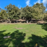 Terrain constructible de 1188 m² à Foce avec vue montagne en Corse