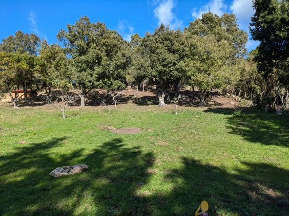 Terrain constructible de 1188 m² à Foce avec vue montagne en Corse