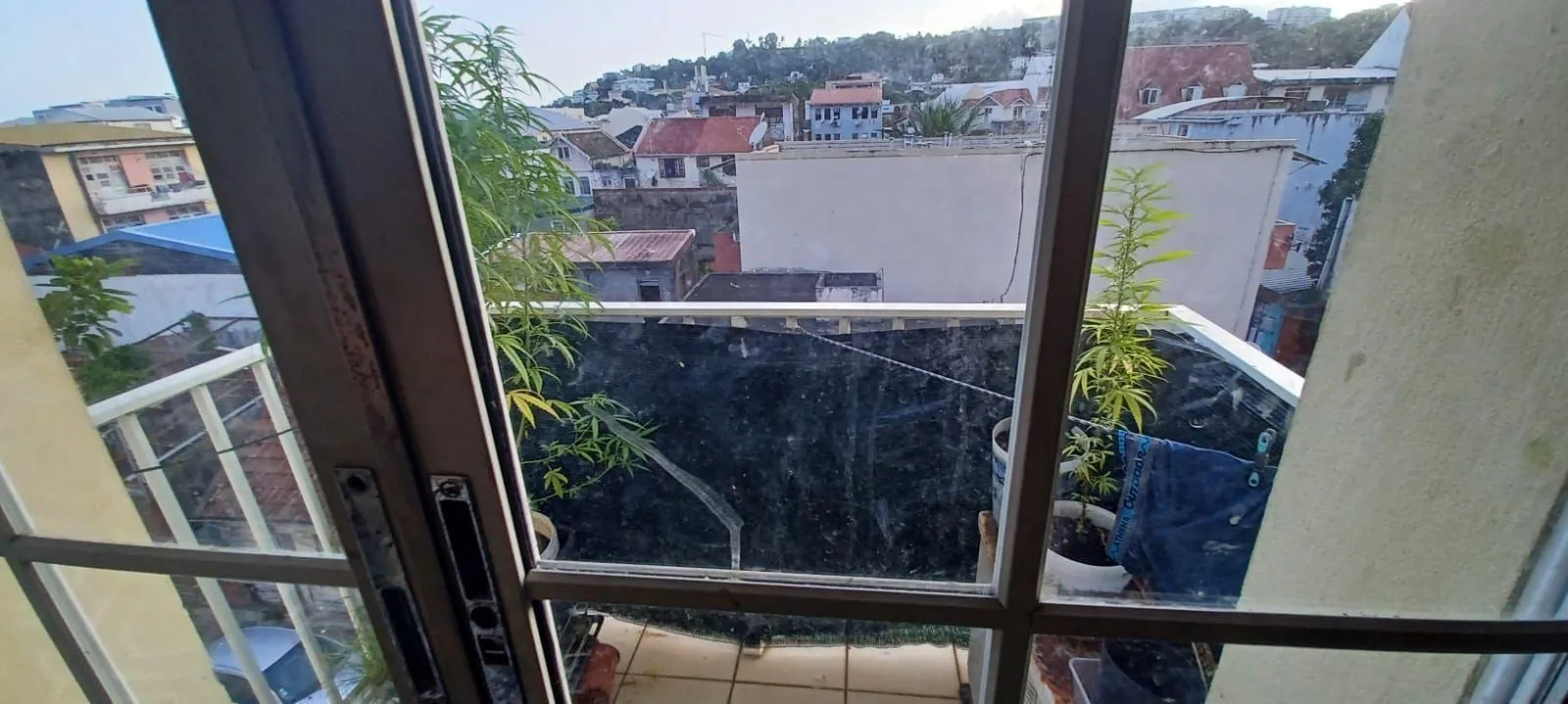 Immeuble de rapport à Fort-de-France – Investissement locatif avec rendement attractif 