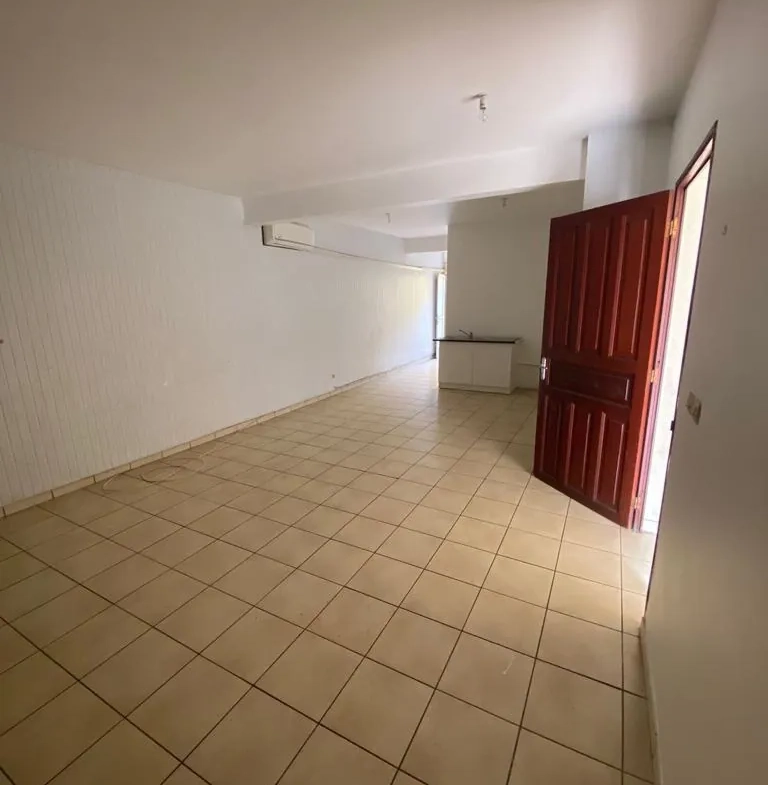 Immeuble de rapport à Fort-de-France – Investissement locatif avec rendement attractif 