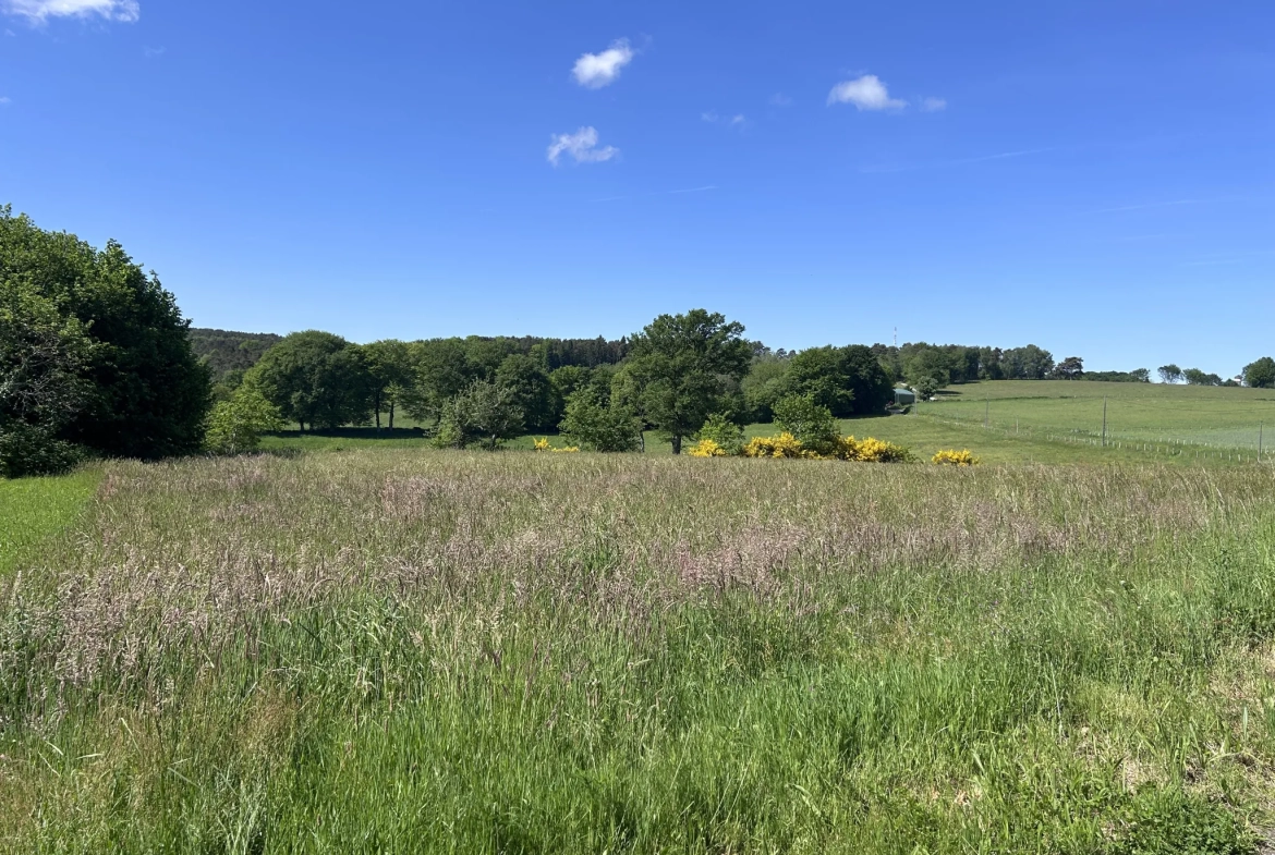 Terrain à vendre à Mercoeur avec vue exceptionnelle - Projet de construction possible 