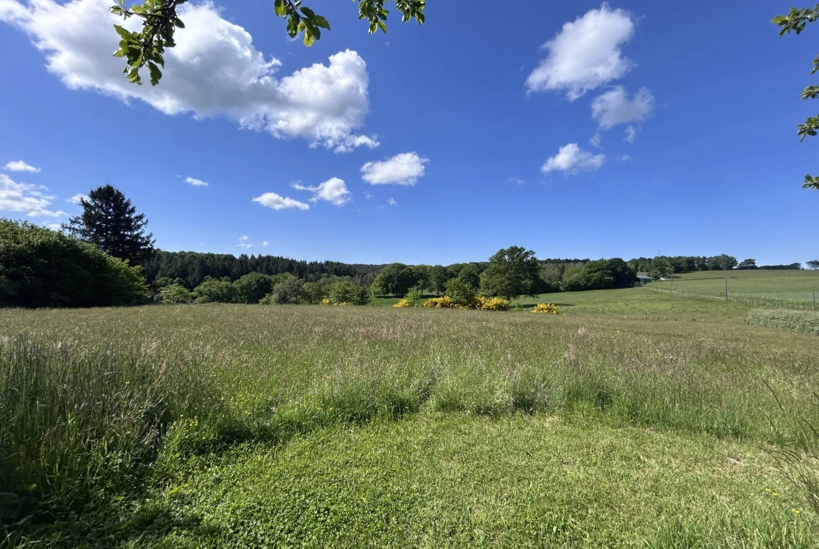 Terrain à vendre à Mercoeur avec vue exceptionnelle - Projet de construction possible 