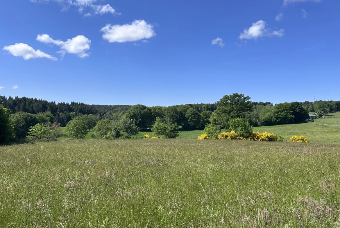 Terrain à vendre à Mercoeur avec vue exceptionnelle - Projet de construction possible 