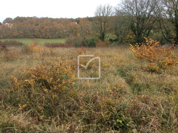 Terrain constructible de 1300 m² à Nespouls, viabilisé et prêt à bâtir