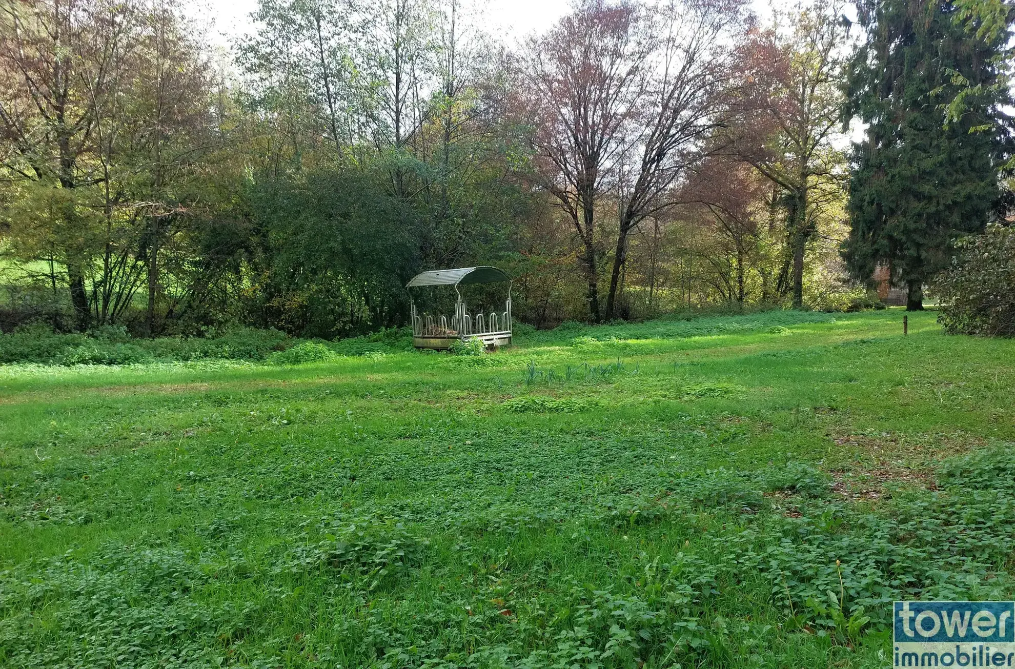 Grande propriété en Dordogne avec 11 chambres, terrain arboré et potentiel pour activité de chambres d'hôtes ou profession libérale 