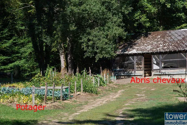 Grande propriété en Dordogne avec 11 chambres, terrain arboré et potentiel pour activité de chambres d'hôtes ou profession libérale 