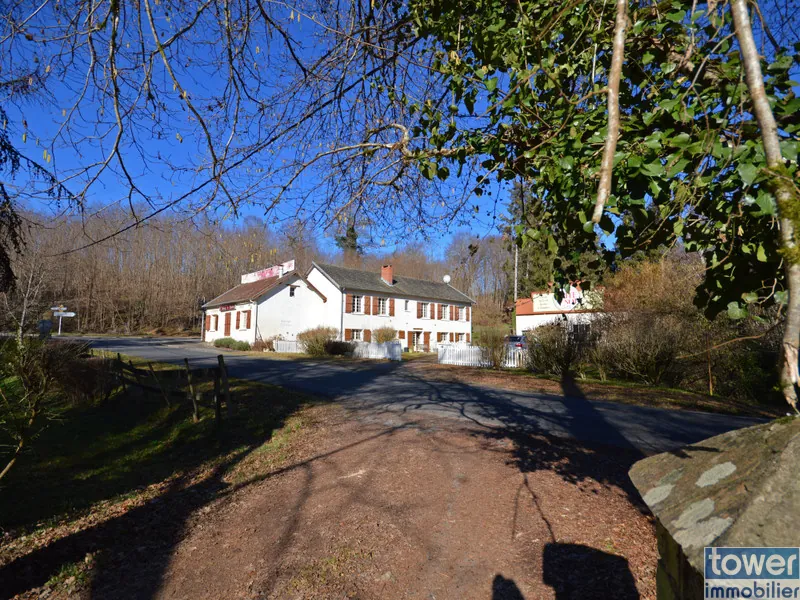 Grande propriété en Dordogne avec 11 chambres, terrain arboré et potentiel pour activité de chambres d'hôtes ou profession libérale 
