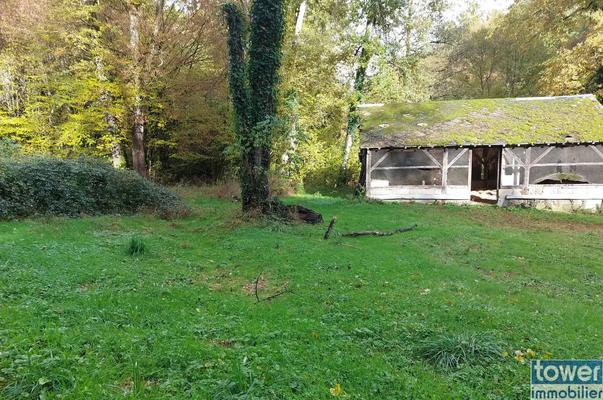 Grande propriété en Dordogne avec 11 chambres, terrain arboré et potentiel pour activité de chambres d'hôtes ou profession libérale 