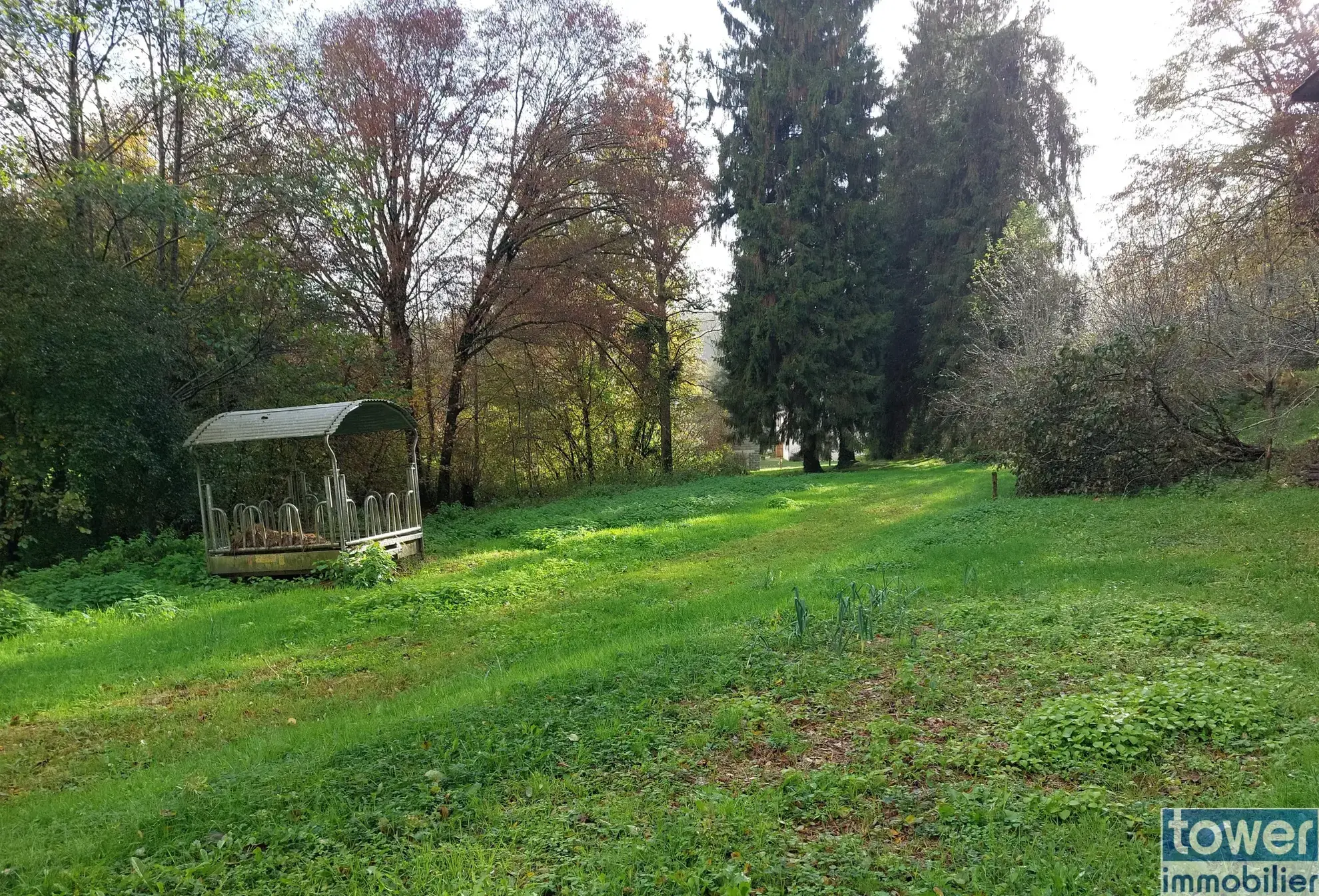 Grande propriété en Dordogne avec 11 chambres, terrain arboré et potentiel pour activité de chambres d'hôtes ou profession libérale 