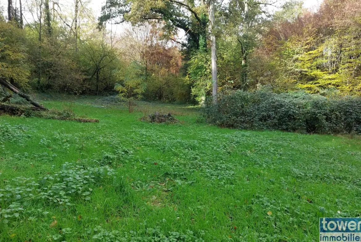 Grande propriété en Dordogne avec 11 chambres, terrain arboré et potentiel pour activité de chambres d'hôtes ou profession libérale 