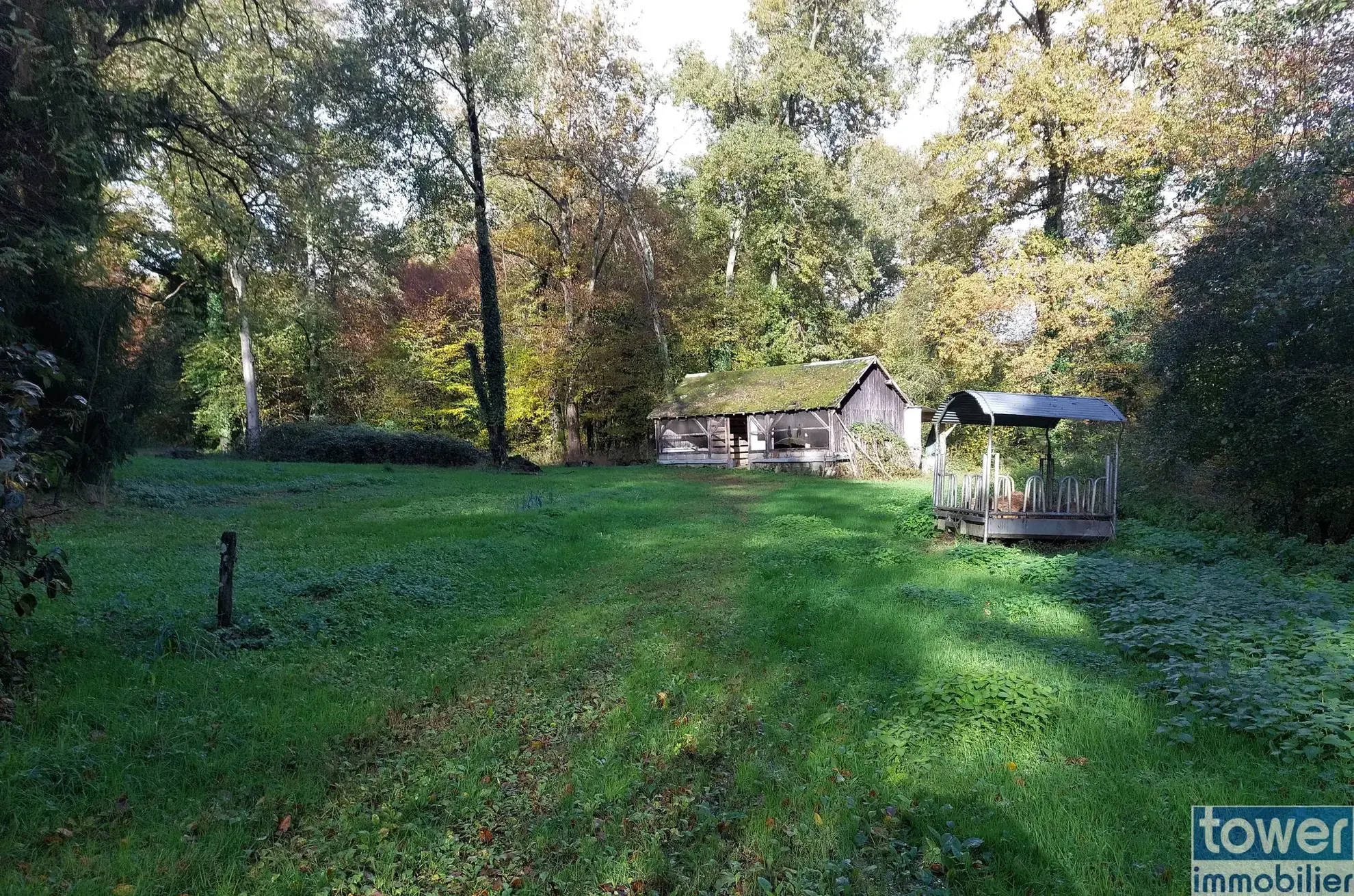 Grande propriété en Dordogne avec 11 chambres, terrain arboré et potentiel pour activité de chambres d'hôtes ou profession libérale 