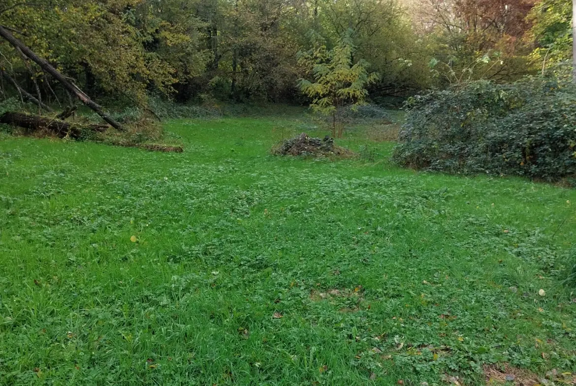 Grande propriété en Dordogne avec 11 chambres, terrain arboré et potentiel pour activité de chambres d'hôtes ou profession libérale 