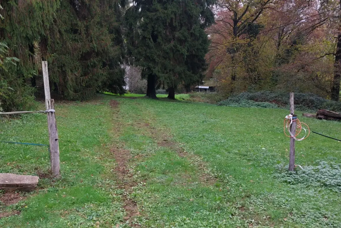 Grande propriété en Dordogne avec 11 chambres, terrain arboré et potentiel pour activité de chambres d'hôtes ou profession libérale 