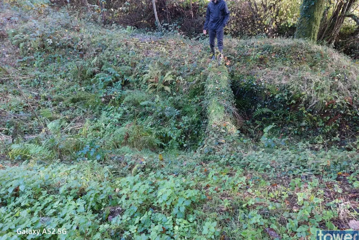 Grande propriété en Dordogne avec 11 chambres, terrain arboré et potentiel pour activité de chambres d'hôtes ou profession libérale 