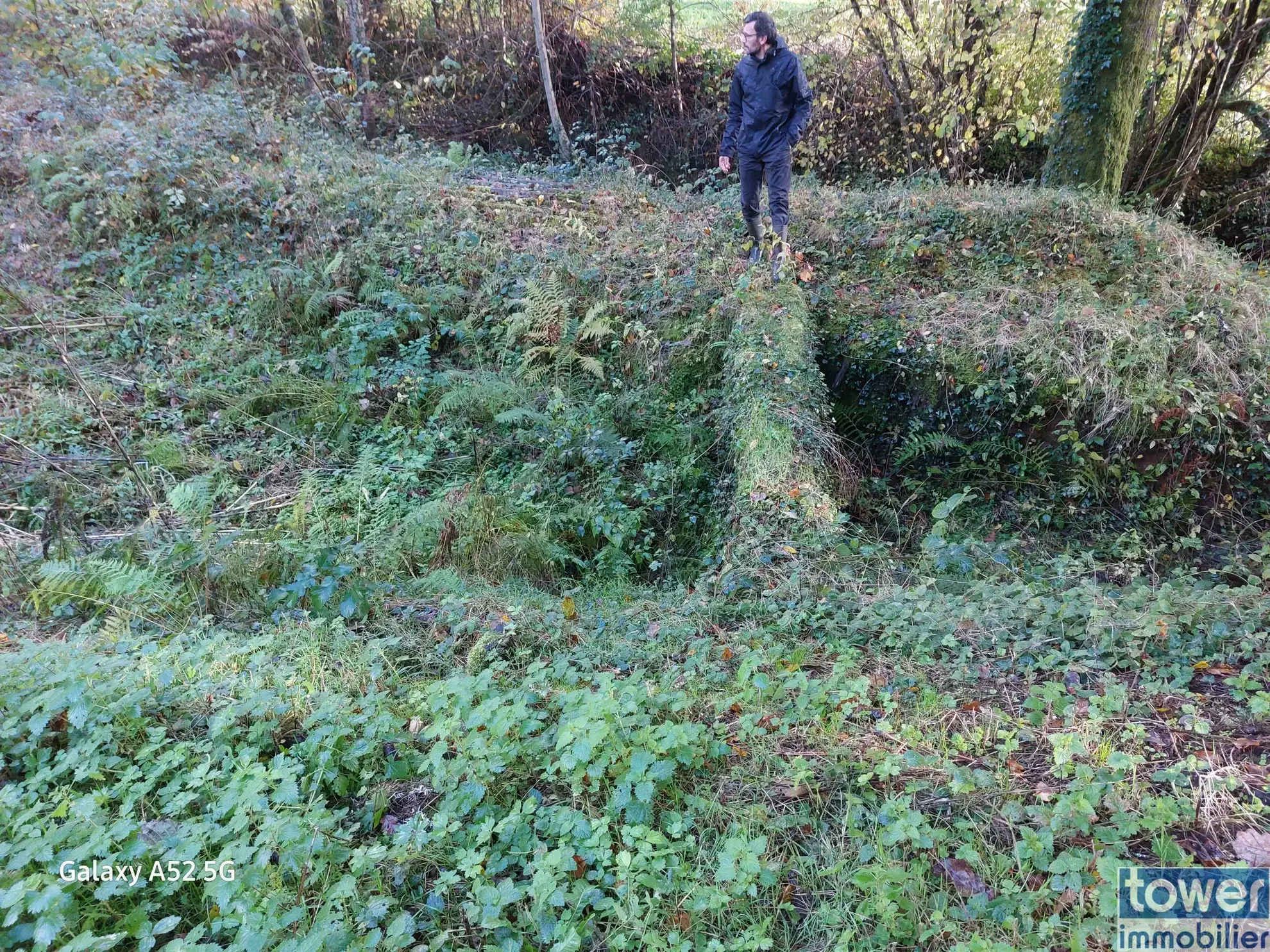 Grande propriété en Dordogne avec 11 chambres, terrain arboré et potentiel pour activité de chambres d'hôtes ou profession libérale 