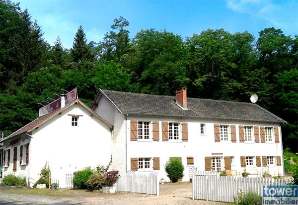Grande propriété en Dordogne avec 11 chambres, terrain arboré et potentiel pour activité de chambres d'hôtes ou profession libérale 