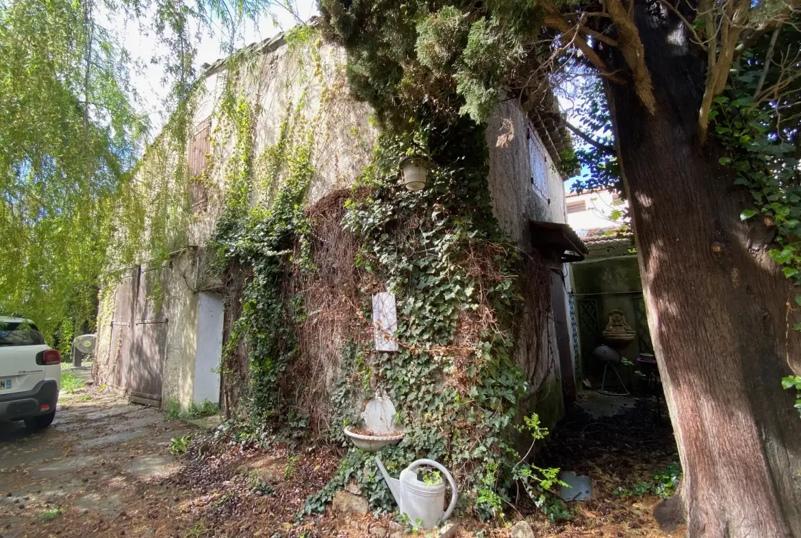 Maison à rénover proche du rempart d'Avignon avec grand jardin et grange 