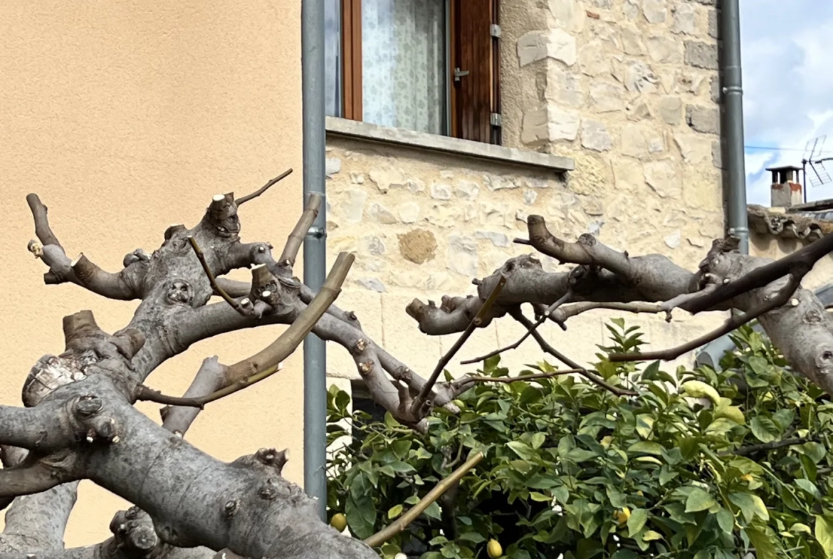 Maison en pierre avec jardin, dépendances et garage à Vaison-la-Romaine 