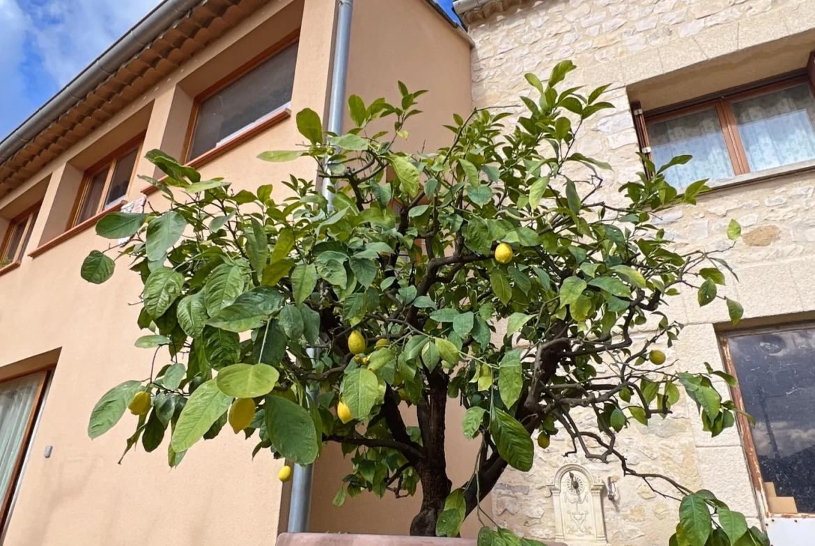 Maison en pierre avec jardin, dépendances et garage à Vaison-la-Romaine 