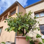 Maison en pierre avec jardin, dépendances et garage à Vaison-la-Romaine
