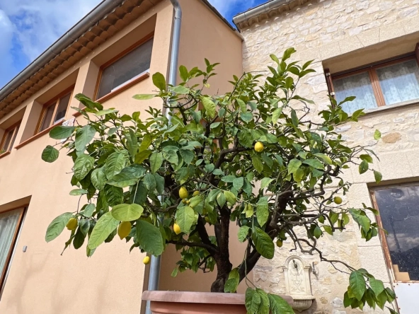Maison en pierre avec jardin, dépendances et garage à Vaison-la-Romaine