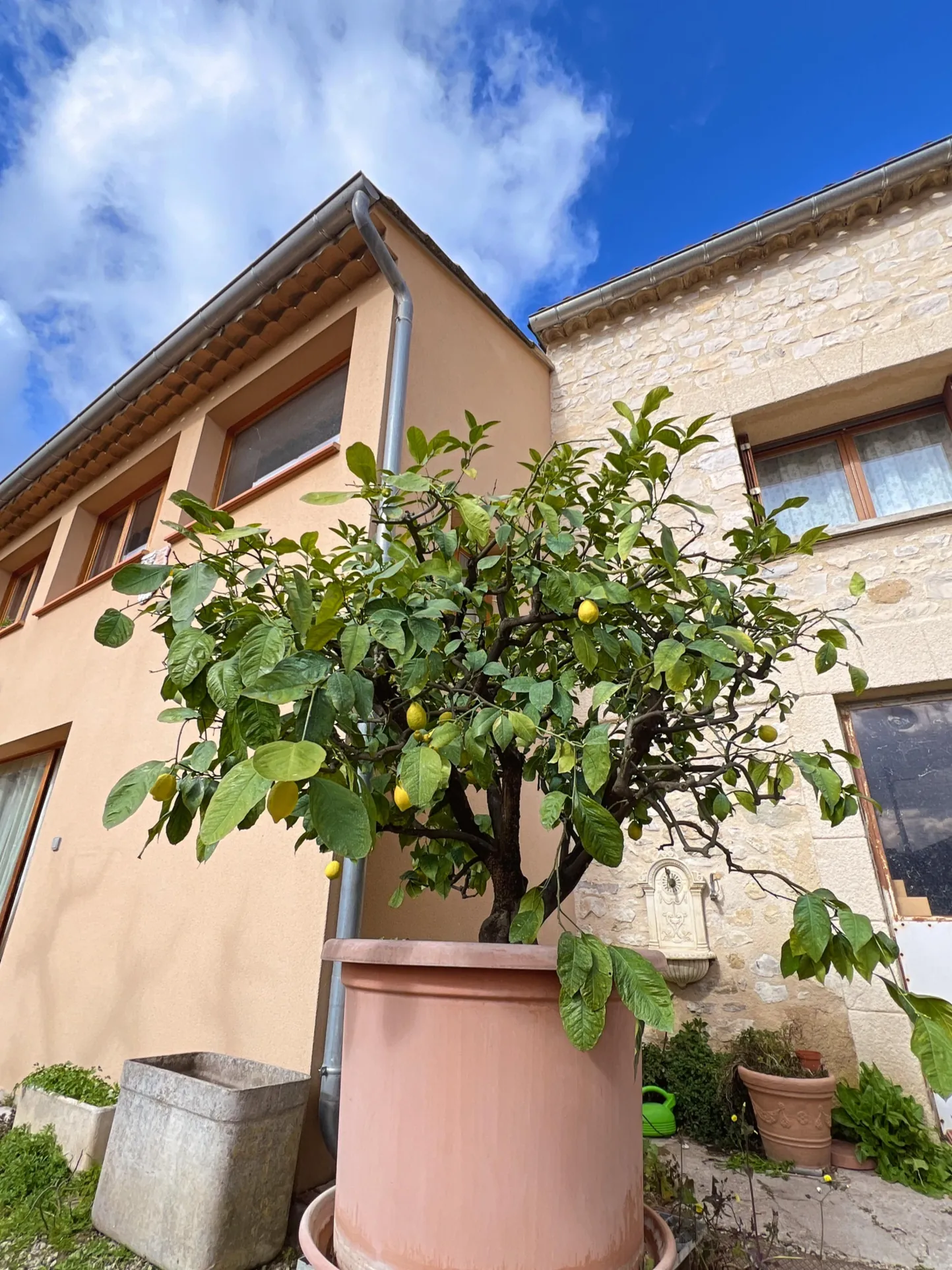 Maison en pierre avec jardin, dépendances et garage à Vaison-la-Romaine 