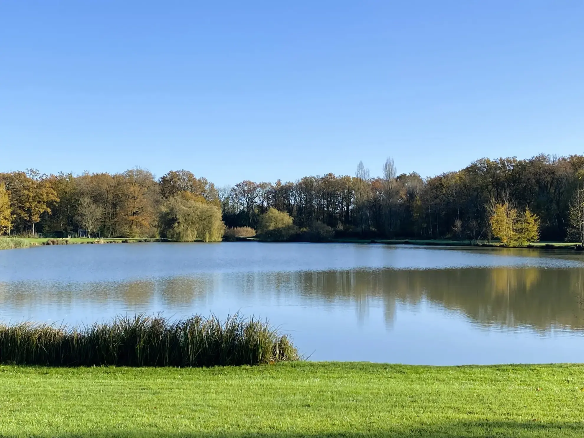 Maison à vendre dans domaine privé à Bazoches-sur-le-Betz (45) - 2 chambres, jardin, équipements sportifs 
