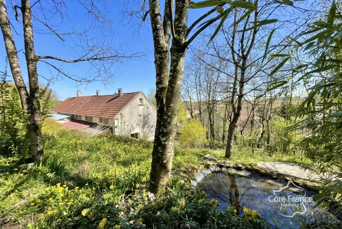 Maison de charme à Merry-Sec avec jardin et potentiel d'aménagement 