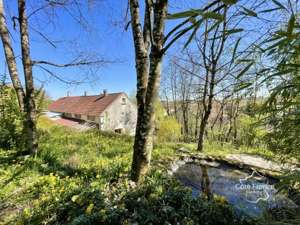 Maison de charme à Merry-Sec avec jardin et potentiel d'aménagement