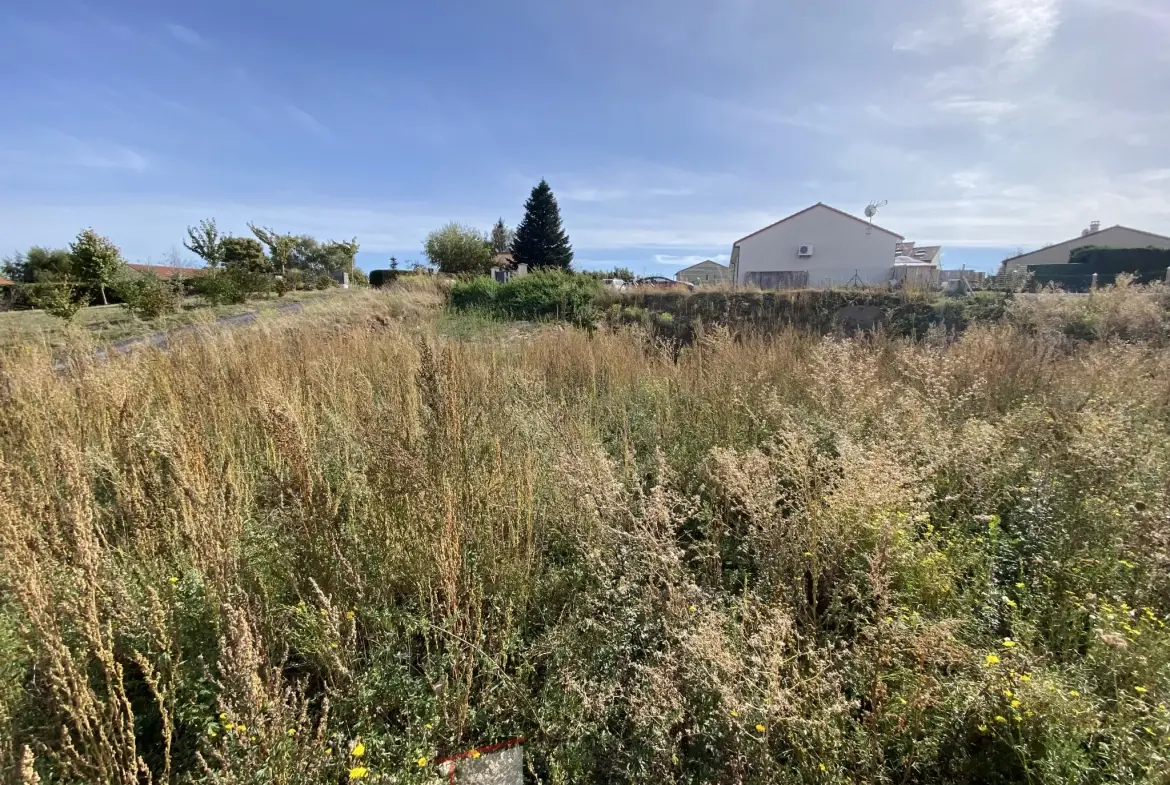 Terrain constructible de 888 m² à Manson - Viabilisé et vue dégagée 