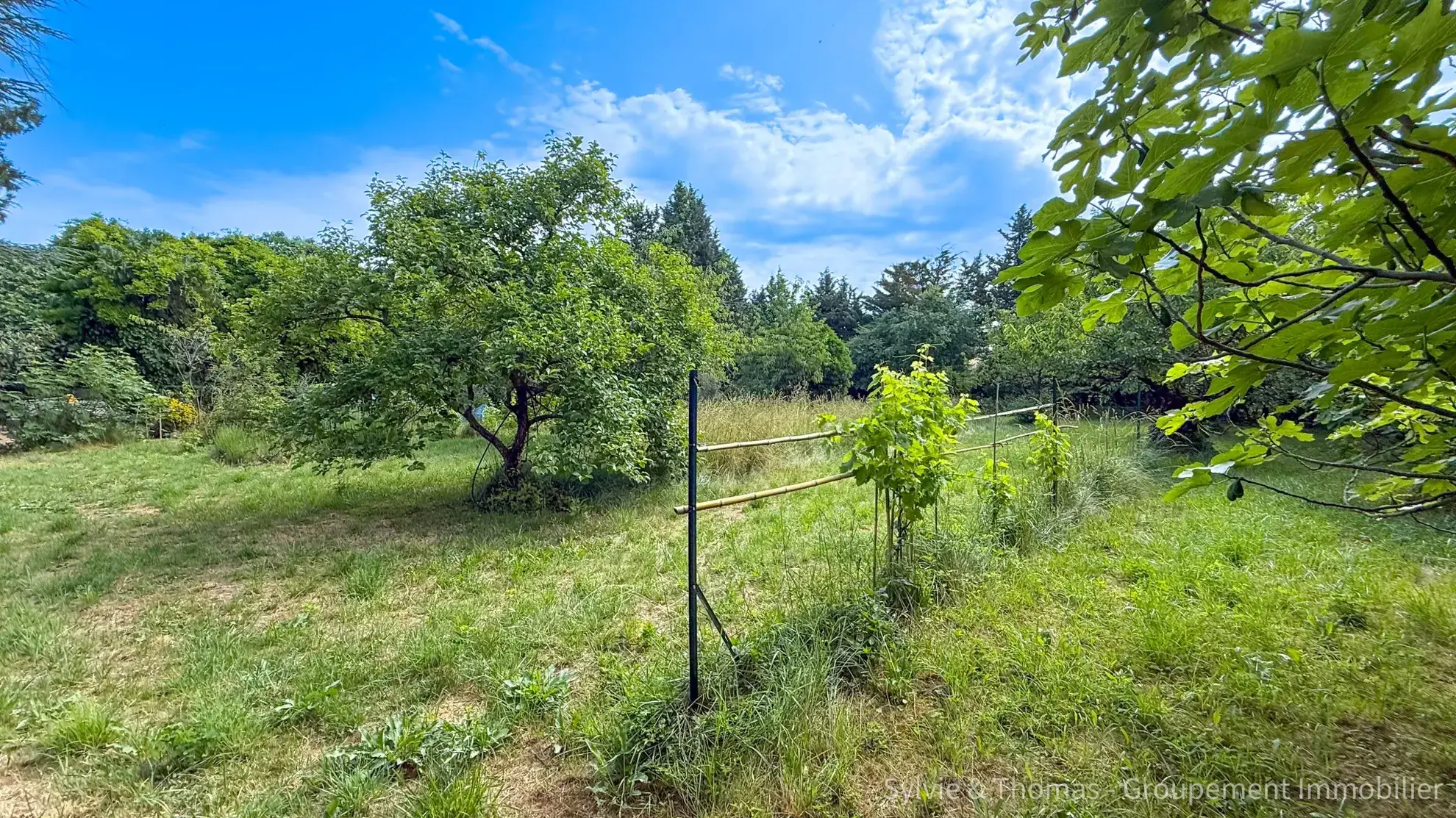 Belle maison à vendre à Orange avec grand terrain et potentiel d’extension 