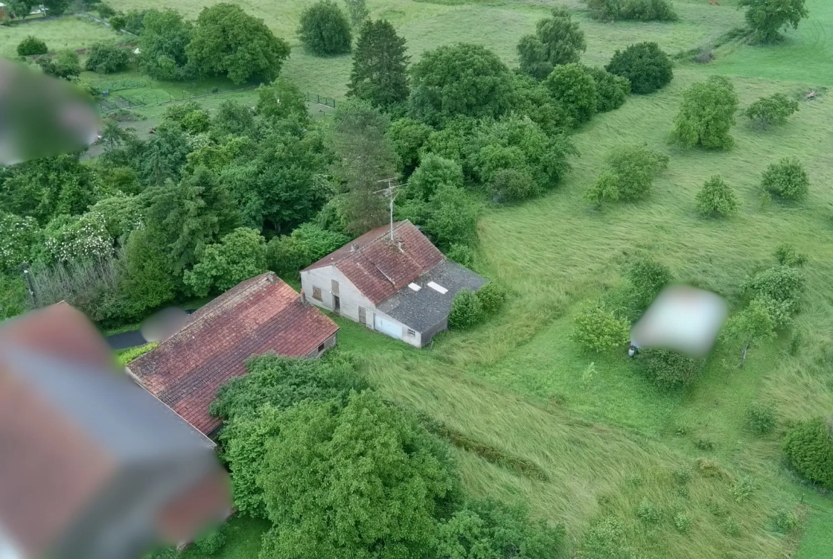 Ensemble immobilier à rénover à Munster en Lorraine – Opportunité investissement 