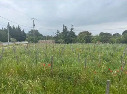 Achat en enchères d'une maison de 49 m² à Sorgues avec terrain et terrasse 