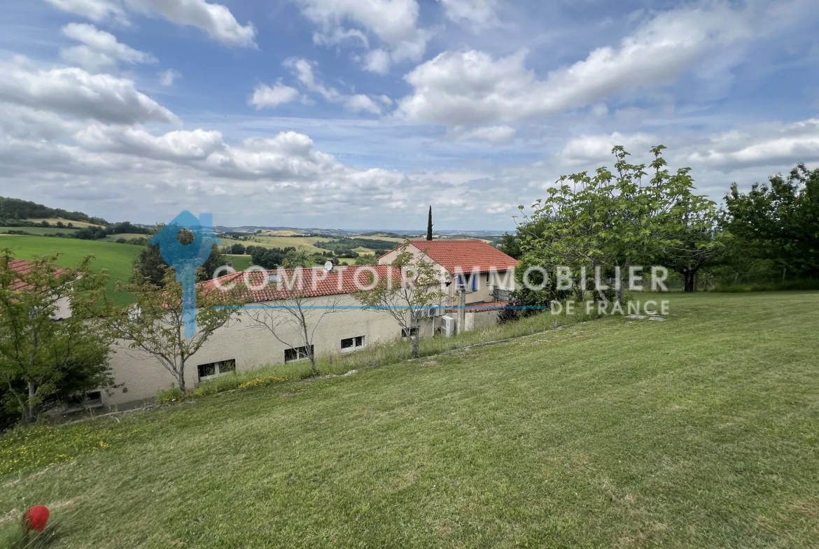 Ensemble immobilier à vendre à Saint-Paul-Cap-de-Joux - Opportunité d'investissement 
