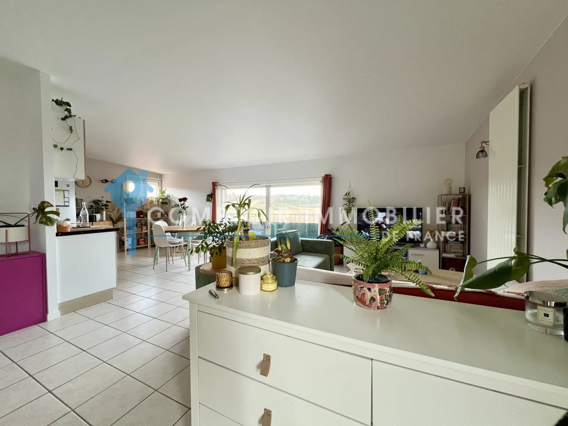 Ensemble immobilier à vendre à Saint-Paul-Cap-de-Joux - Opportunité d'investissement 