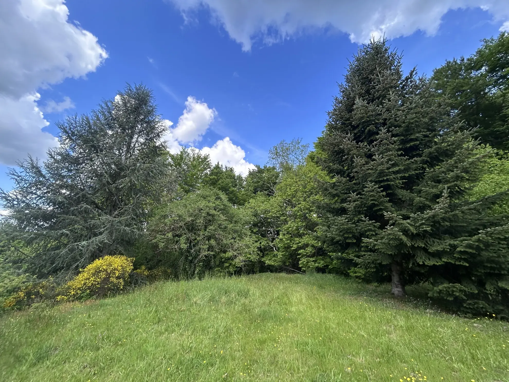 Maison individuelle avec piscine à Darazac, Xaintrie - Vue dégagée et environnement calme 