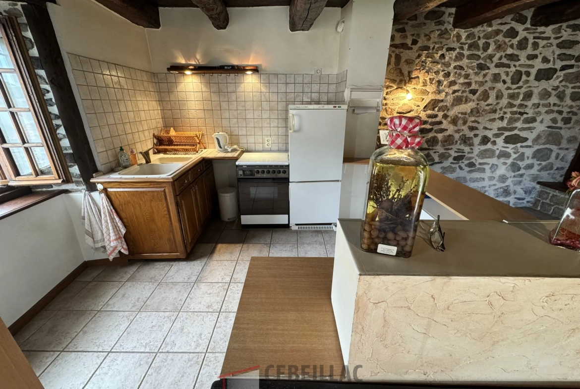 À vendre à Molompize : deux maisons en pierre avec vue, terrain de 322 m² 