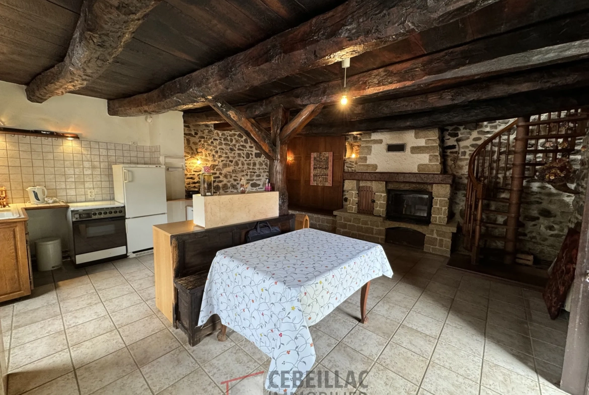 À vendre à Molompize : deux maisons en pierre avec vue, terrain de 322 m² 