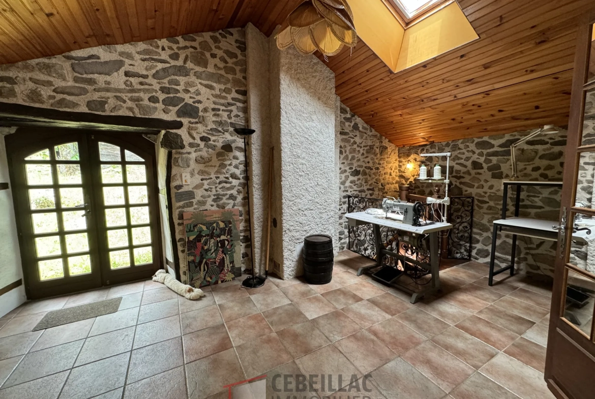 À vendre à Molompize : deux maisons en pierre avec vue, terrain de 322 m² 
