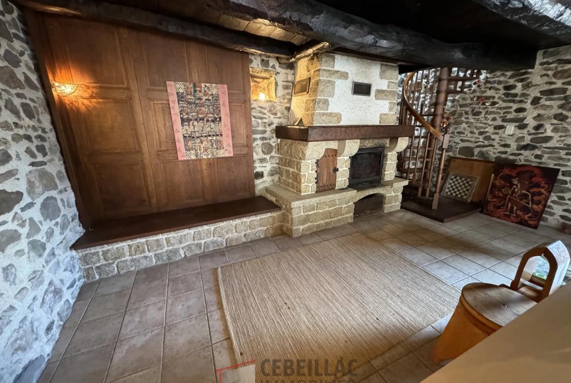 À vendre à Molompize : deux maisons en pierre avec vue, terrain de 322 m² 