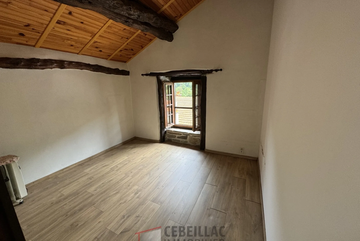 À vendre à Molompize : deux maisons en pierre avec vue, terrain de 322 m² 