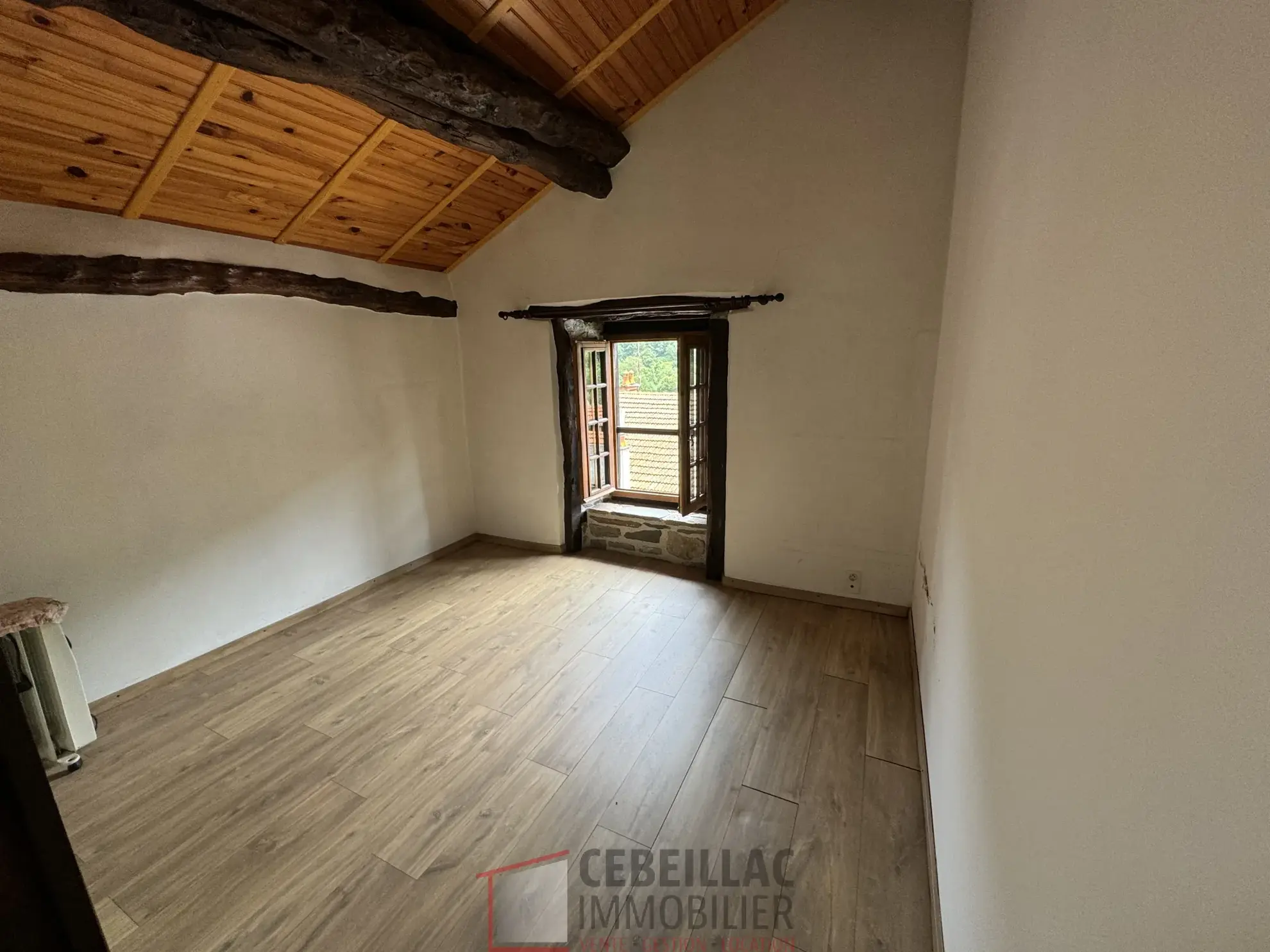 À vendre à Molompize : deux maisons en pierre avec vue, terrain de 322 m² 