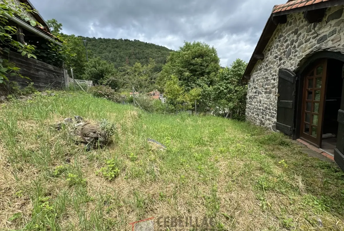 À vendre à Molompize : deux maisons en pierre avec vue, terrain de 322 m² 