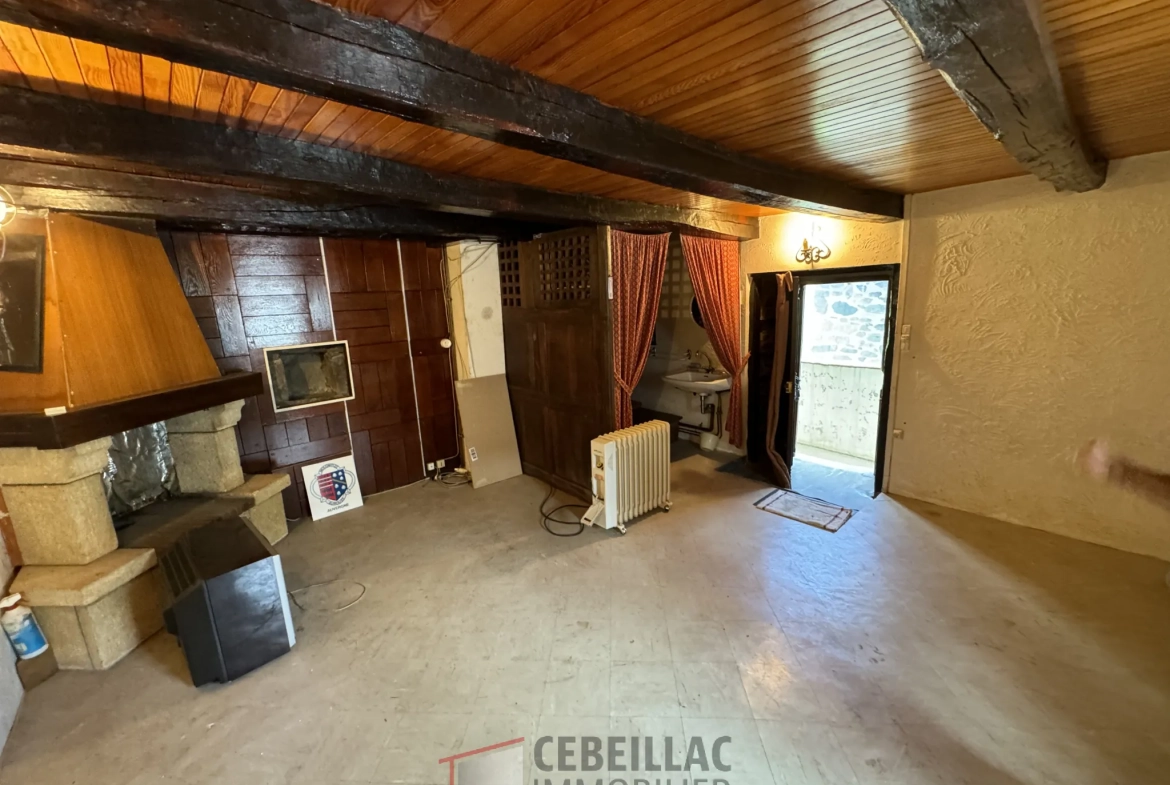 À vendre à Molompize : deux maisons en pierre avec vue, terrain de 322 m² 