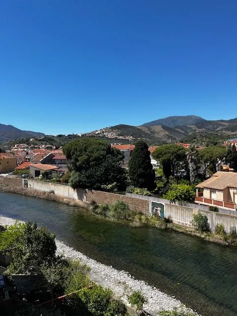 Appartement T1 rénové avec terrasse à Banyuls-sur-Mer - Vue exceptionnelle 