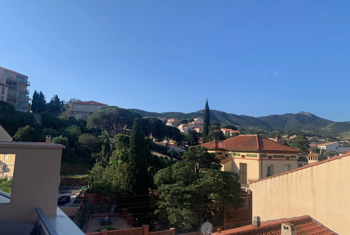 Appartement T1 rénové avec terrasse à Banyuls-sur-Mer - Vue exceptionnelle 