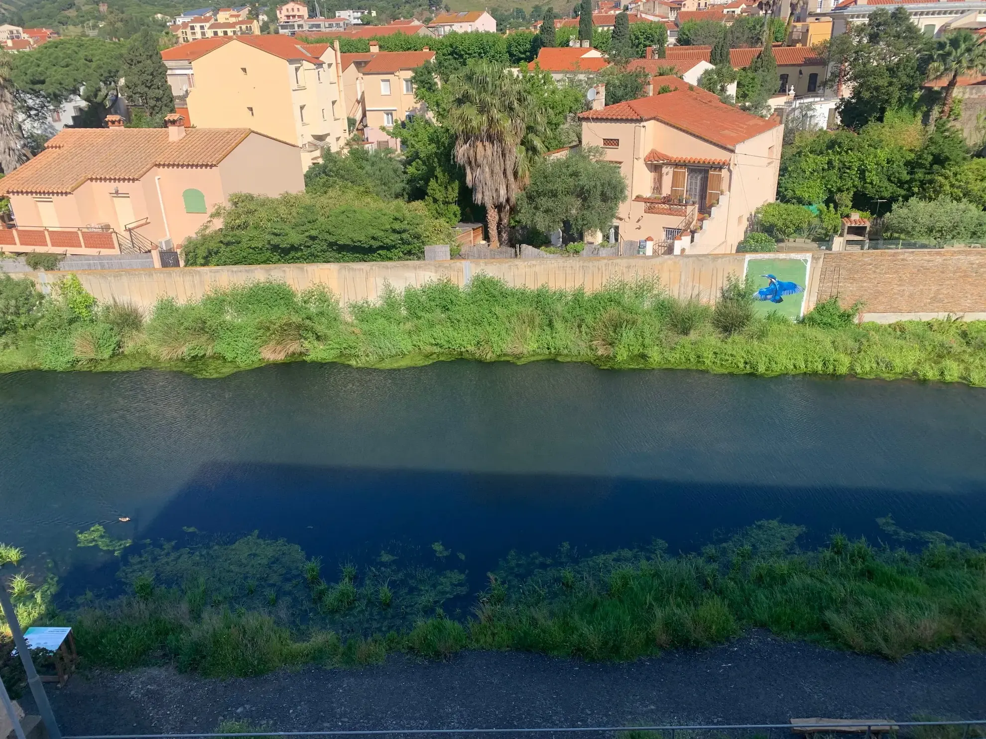 Appartement T1 rénové avec terrasse à Banyuls-sur-Mer - Vue exceptionnelle 